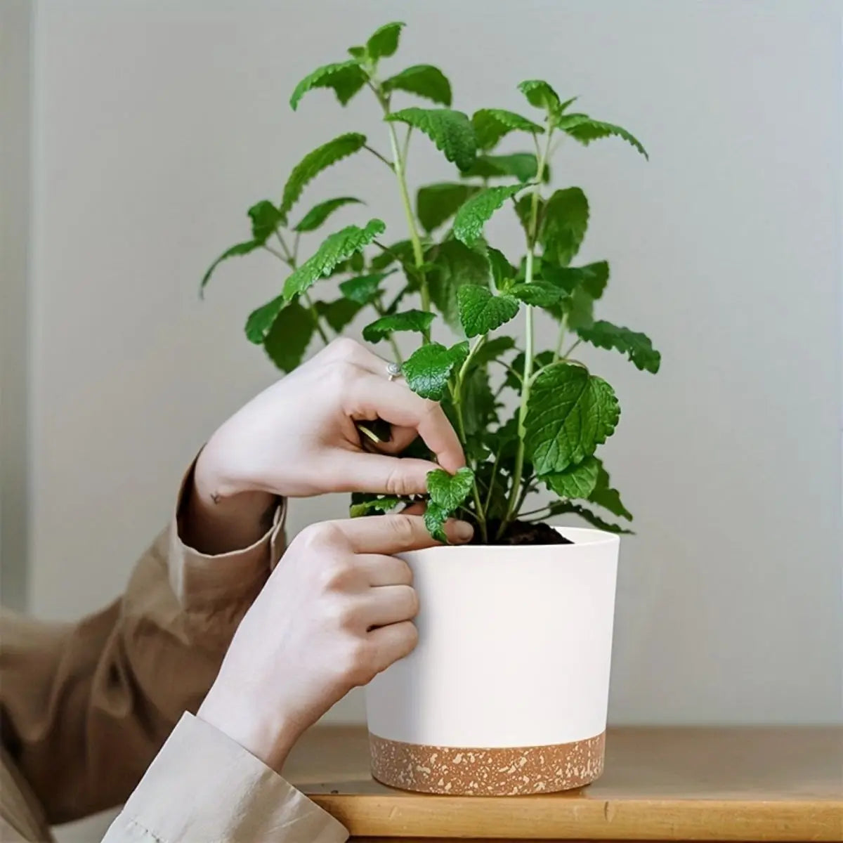 Pot de fleurs blanc élégant et moderne